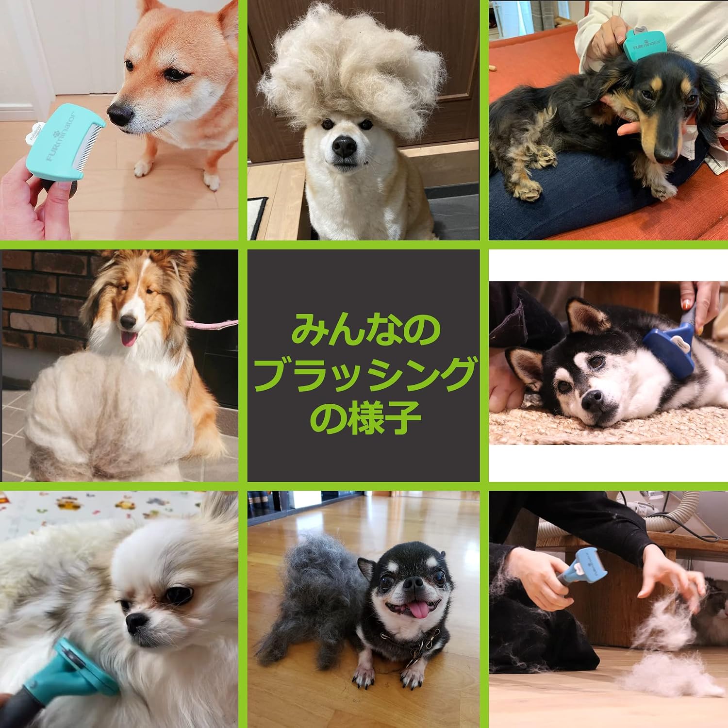 Thumbnail 4 de FURminator L 大型犬・短毛種用ブラシ ステンレス歯とワンプッシュ除毛機能