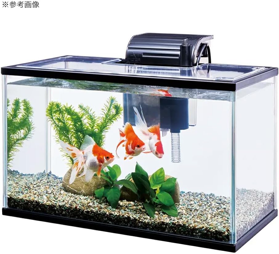 Detalle 2 de テトラ ひろびろワイドアクア 50 ガラス水槽セット 外掛けフィルター・流量調節付き