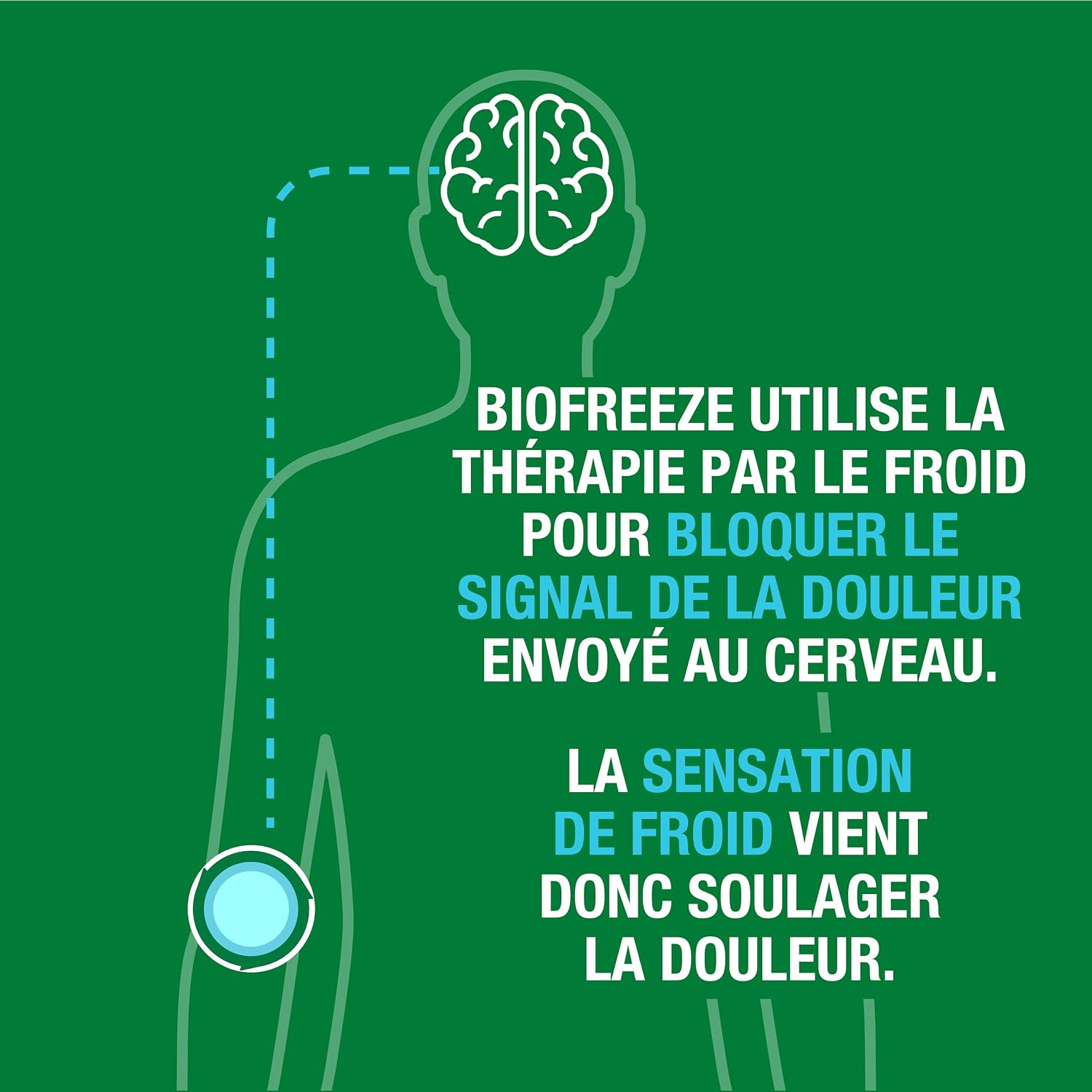 Thumbnail 6 de Biofreeze Roll On pour douleurs musculaires