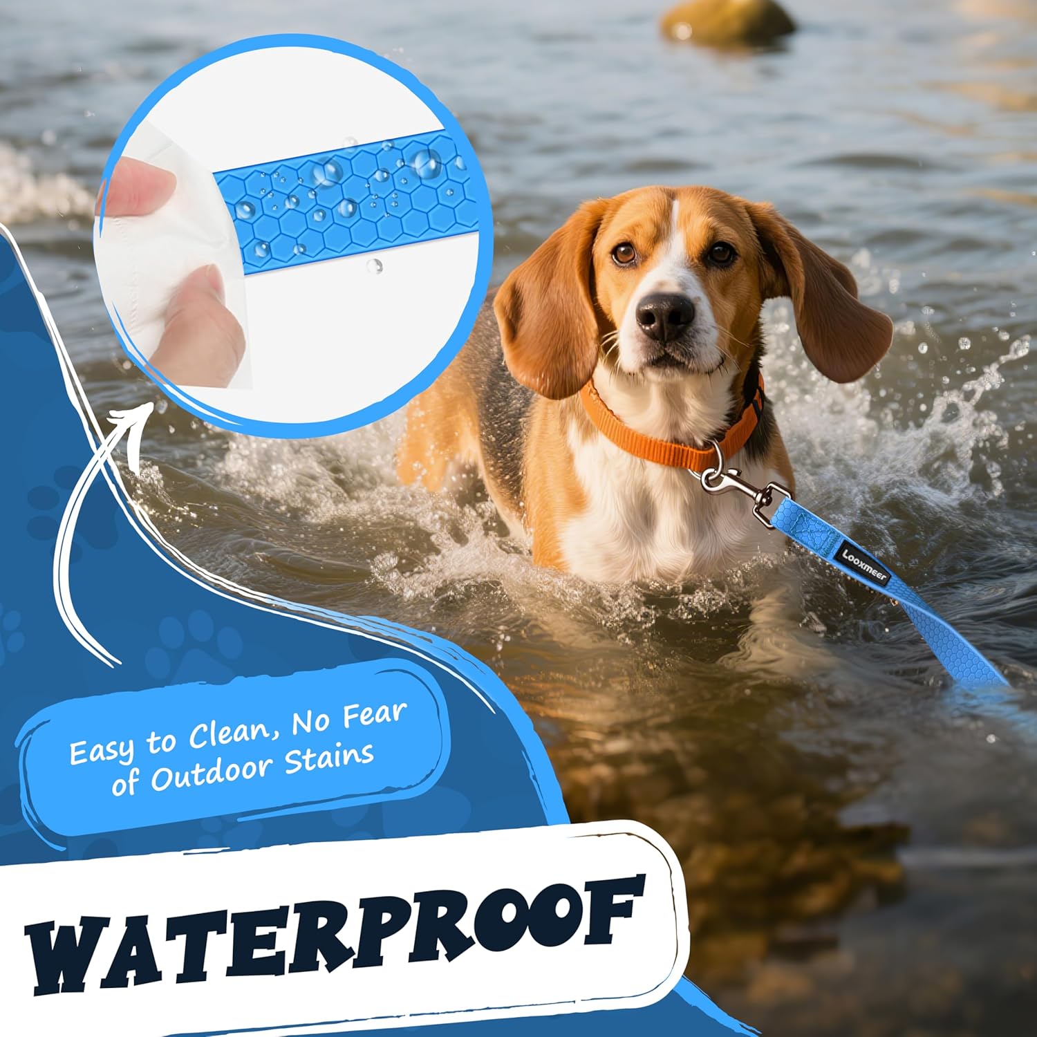 Detalle de Looxmeer Training Lead for Dogs 5m/16ft: Extra‑Long, Waterproof Training Lead with Padded Handle