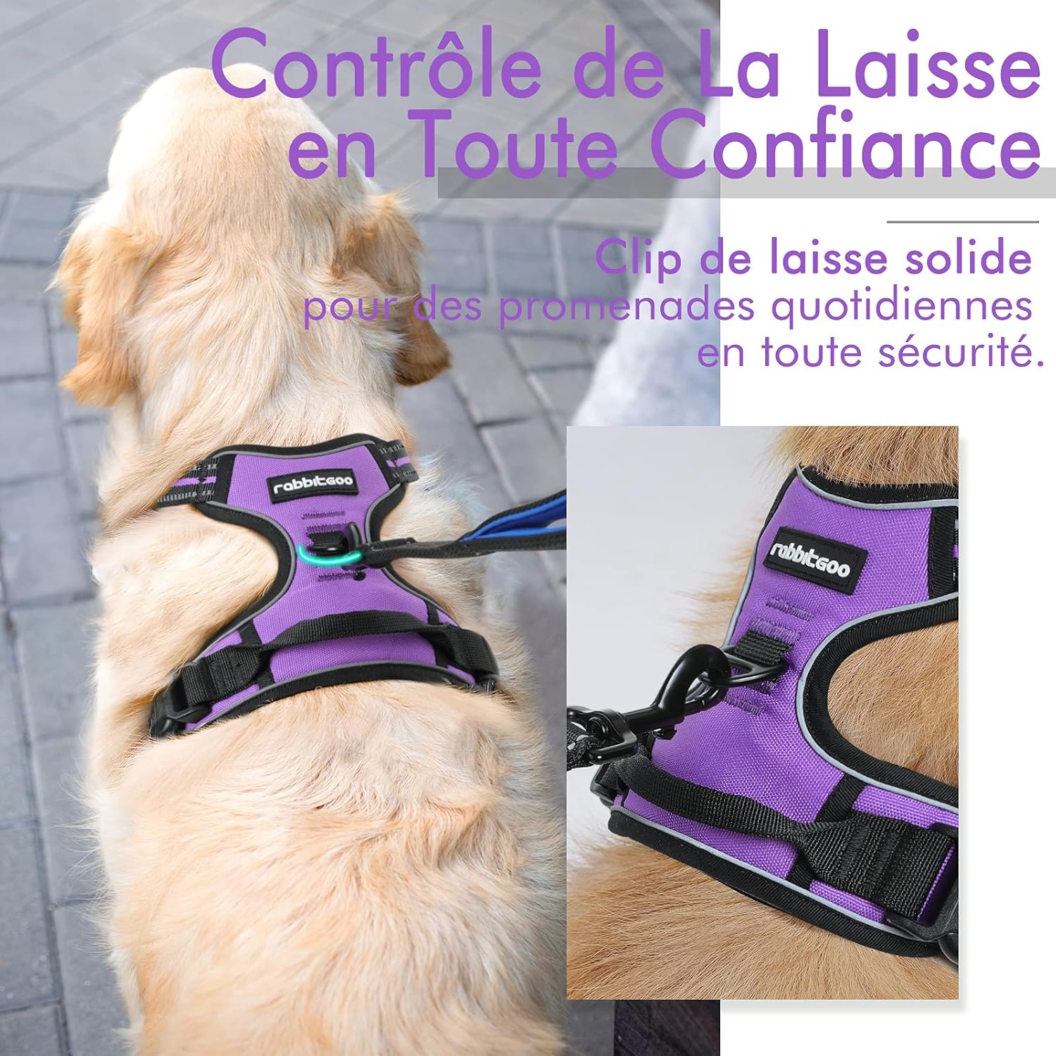 Thumbnail 4 de rabbitgoo Harnais Chien Anti Traction Violet XS