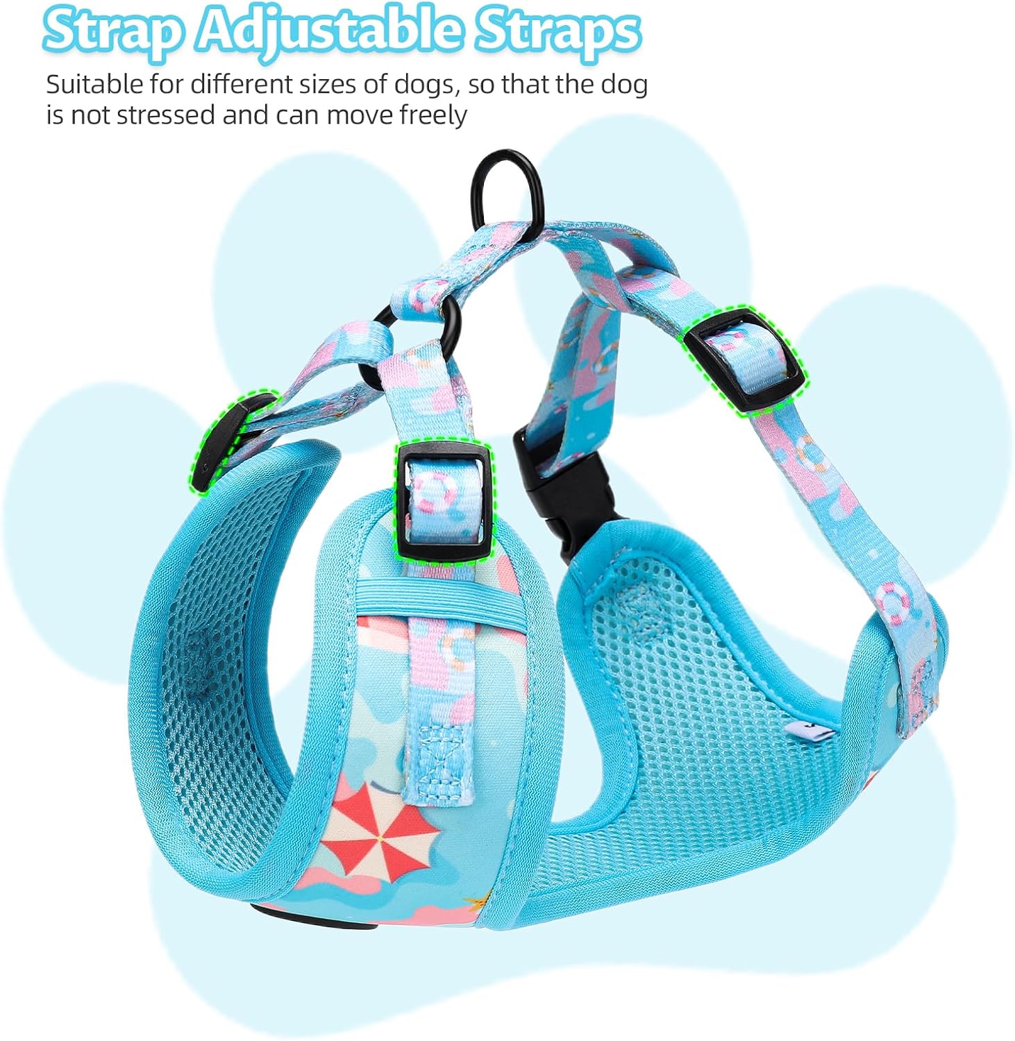Detalle 1 de Small Dog Harness and Leash Set of 6