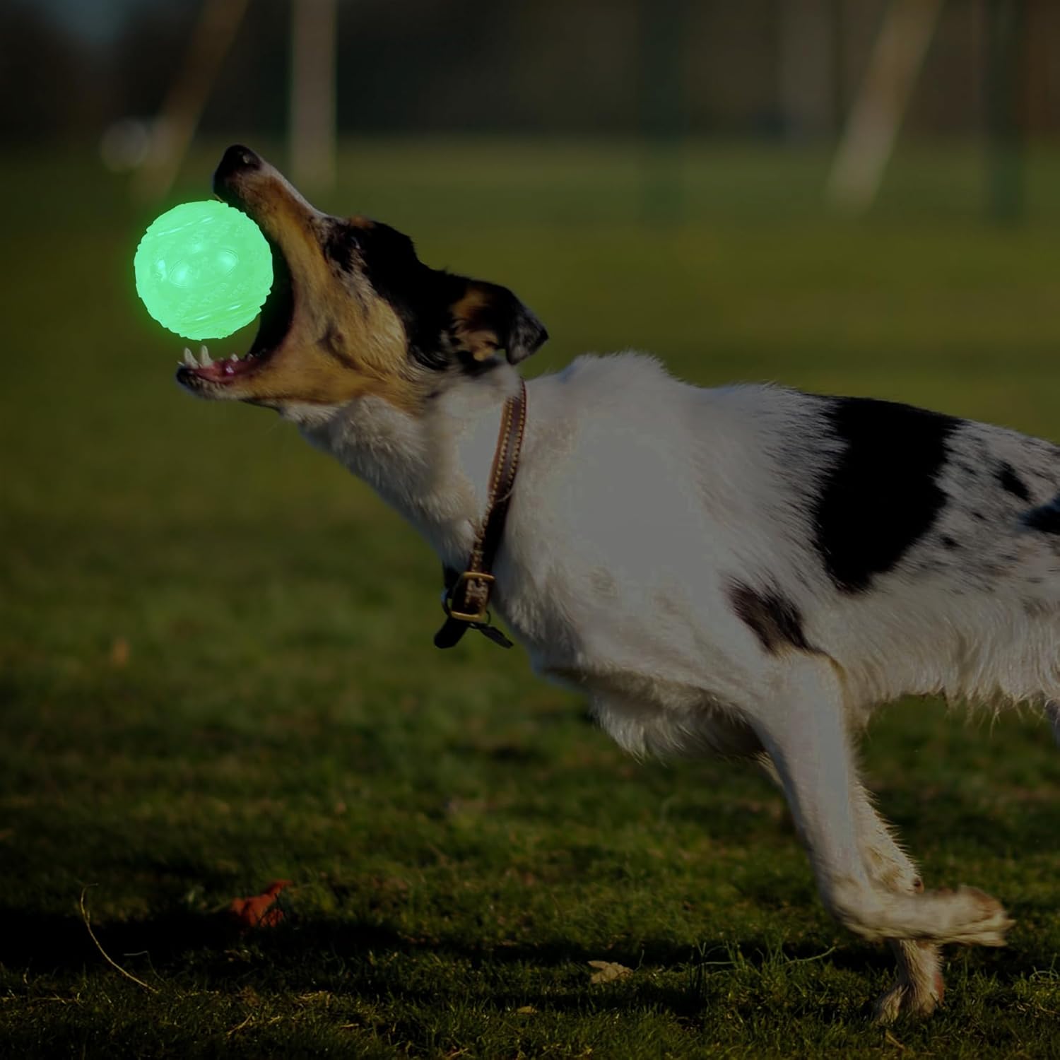 Thumbnail 6 de LECHONG 4-Pack Glow in the Dark Squeaky Dog Balls