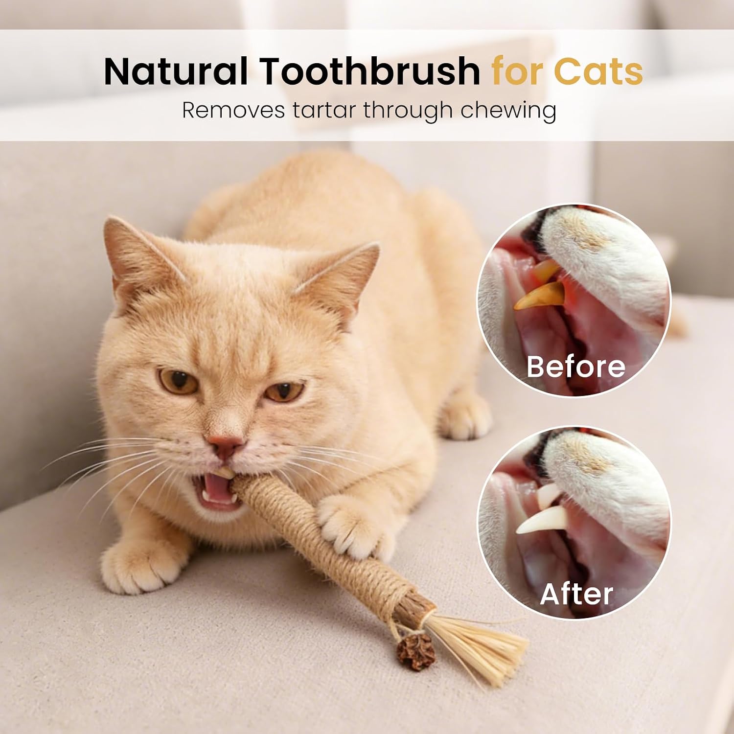 Detalle de Aidiyapet Bastoncini Matatabi per Gatti – 6 Pezzi di Bastoncini da Masticare con Silvervine e Corda di Sisal