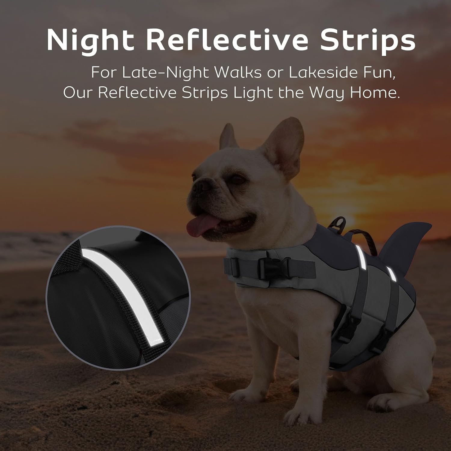 Thumbnail 3 de CITÉTOILE Dog Life Jacket Shark Costume XL