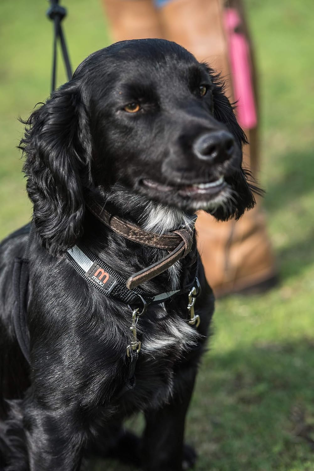 Detalle de Mikki Dog anti-dragsele för hund, medium, svart med justerbart reflexhalsband