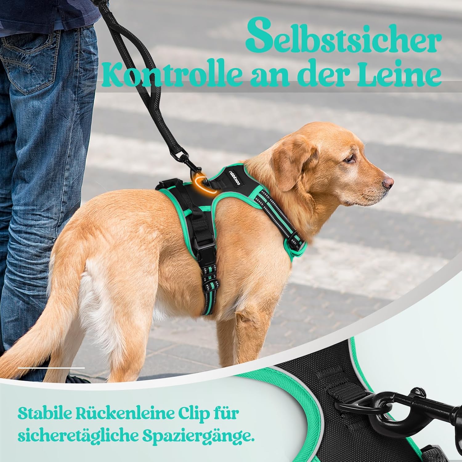 Thumbnail 6 de rabbitgoo Hundegeschirr Größe XL mit Anti-Zug & Schnellverschlüssen – verstellbar, atmungsaktiv und mit Reflexstreifen (schwarz & grün)