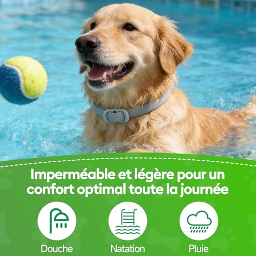 Detalle de Collar Antiparasitario para Perros GlowPoint — Pack de 2, ajustable 65 cm y resistente al agua