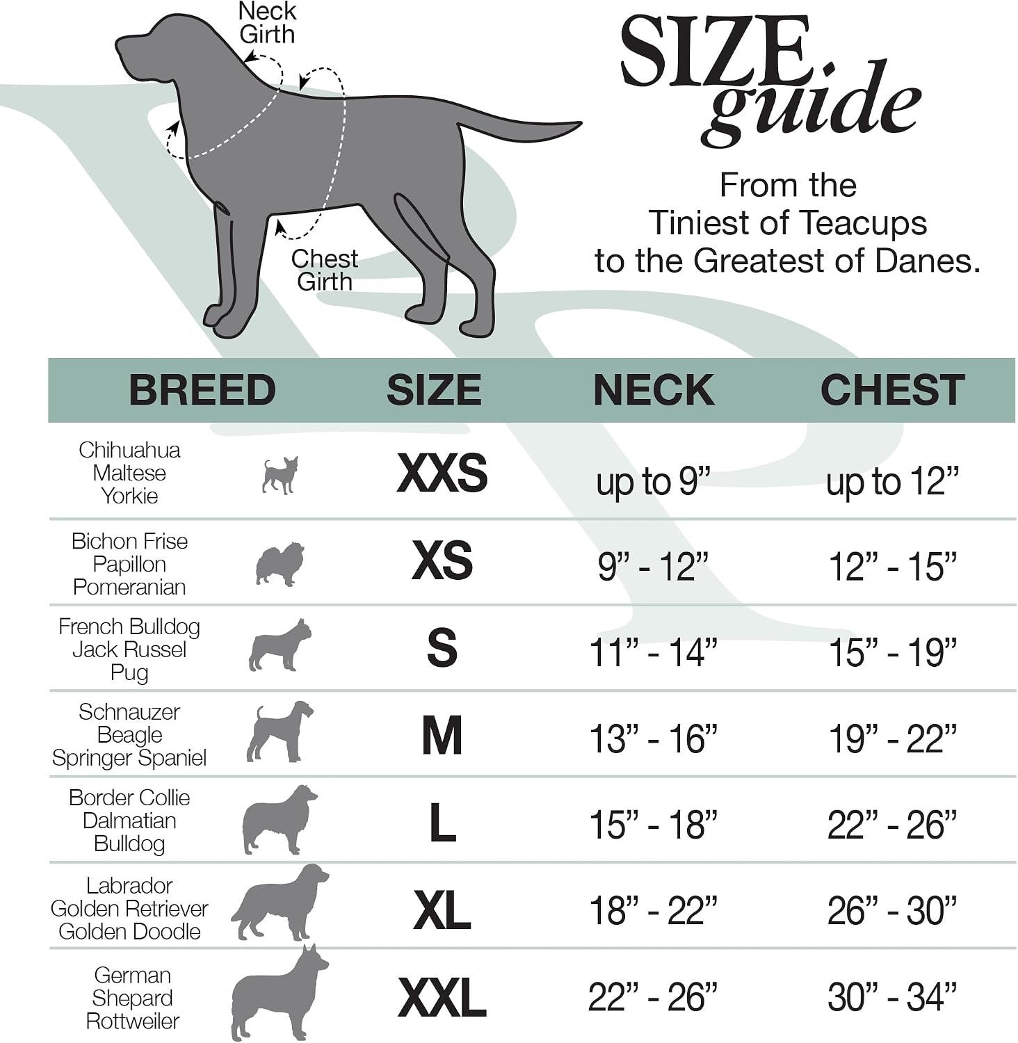 Thumbnail 6 de Pet Passion Dog Hoodie, Medium