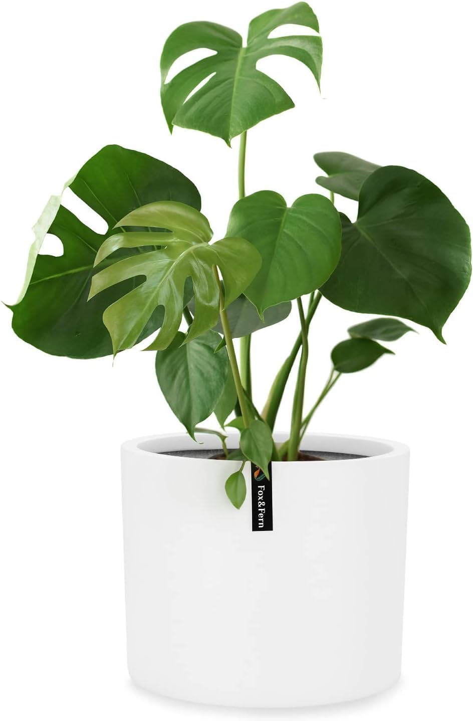 Detalle de Fox & Fern TOPL-GMDG-B248 Planter M, White Fibrestone Pot with Water Reservoir