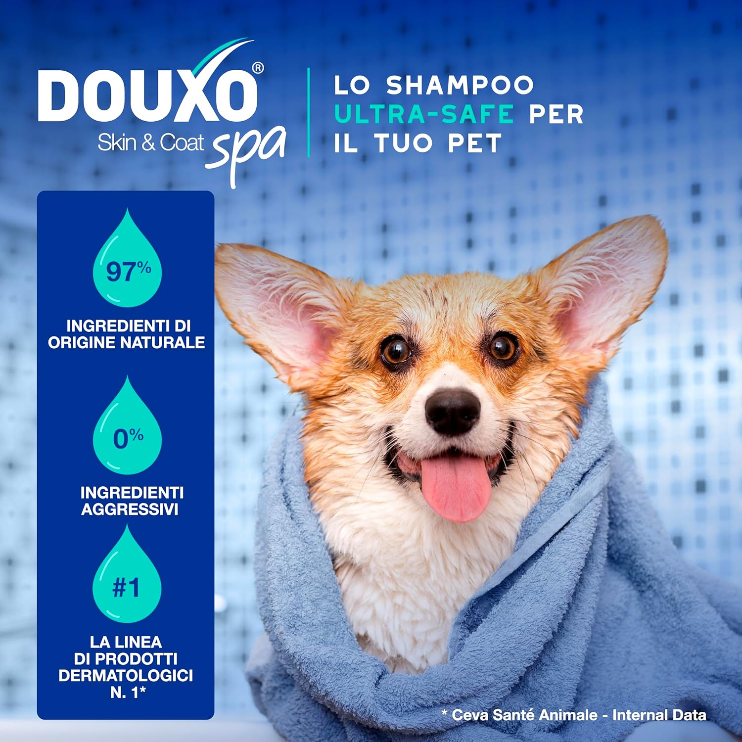 Detalle 2 de DOUXO SPA Shampoo Antiodore 250 ml