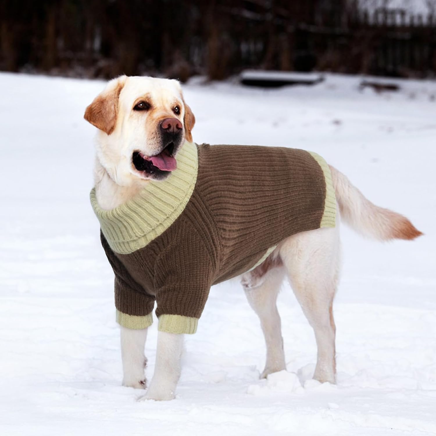 Detalle 2 de Thermal dog jumper knitwear for medium dogs