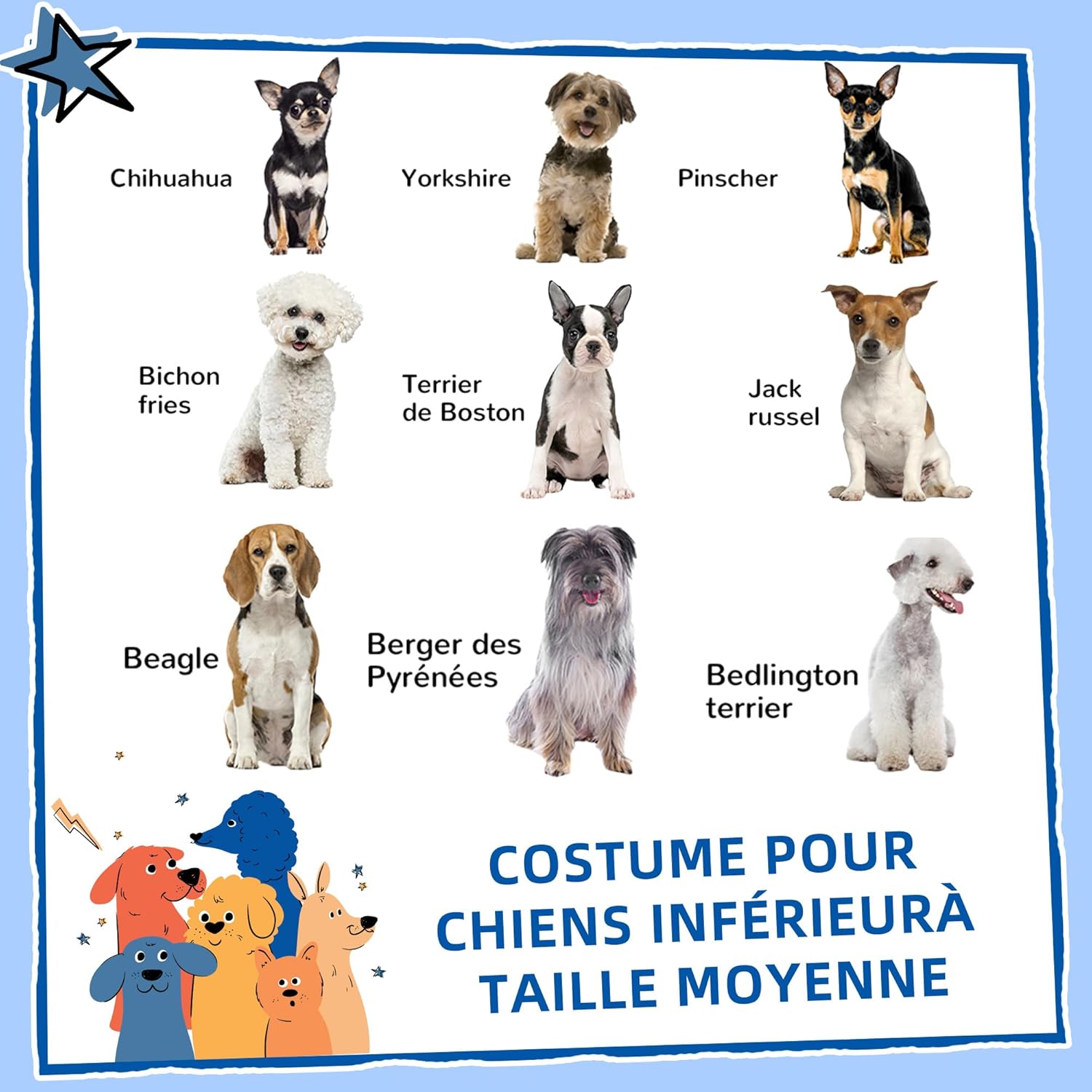 Detalle de PawHut niche d’extérieur en PP blanc pour petits et moyens chiens (65 x 75,7 x 63 cm)