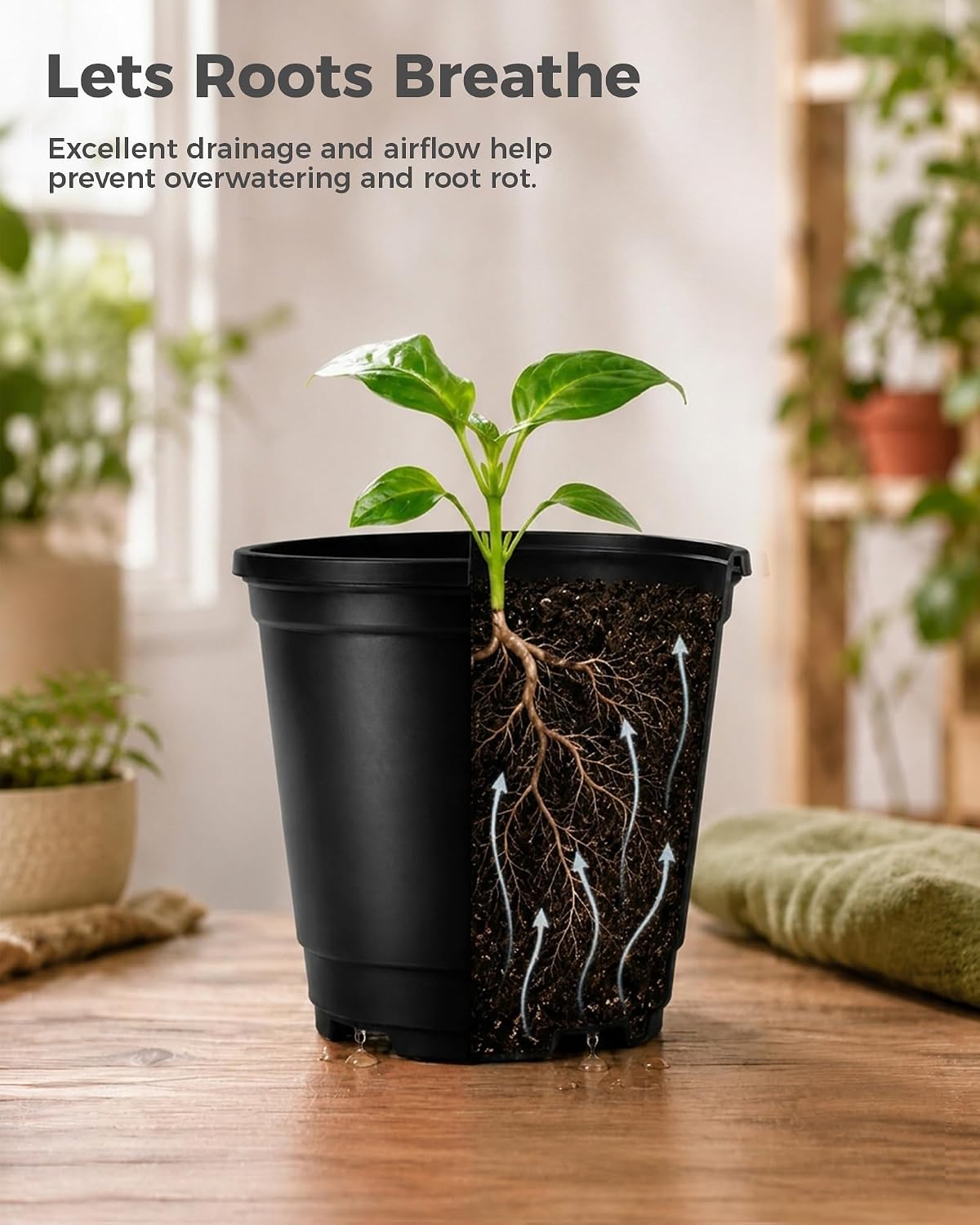 Thumbnail 6 de Bamworld 4-Inch Nursery Pots, 100-Pack with Drainage Holes