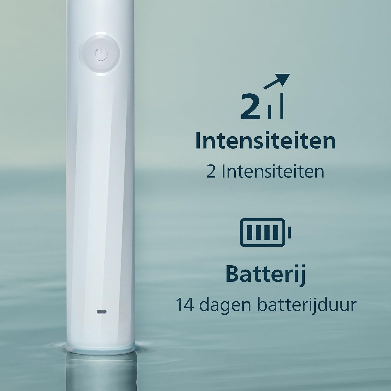Detalle de Philips Sonicare 2000 HX4021/01 sonische tandenborstel met 2 intensiteiten, EasyStart en SmarTimer