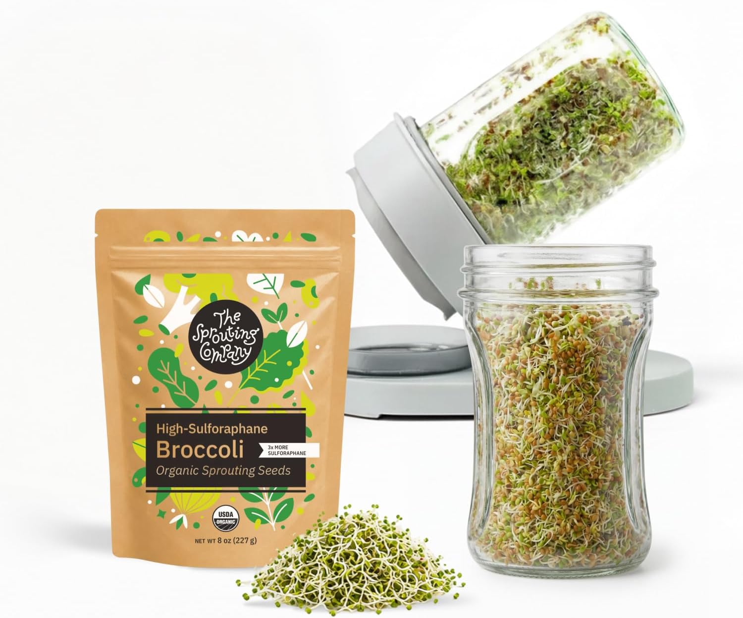 Detalle de The Sprouting Company Jar Sprouting Kit with Organic Broccoli Seeds, Stand & Filter