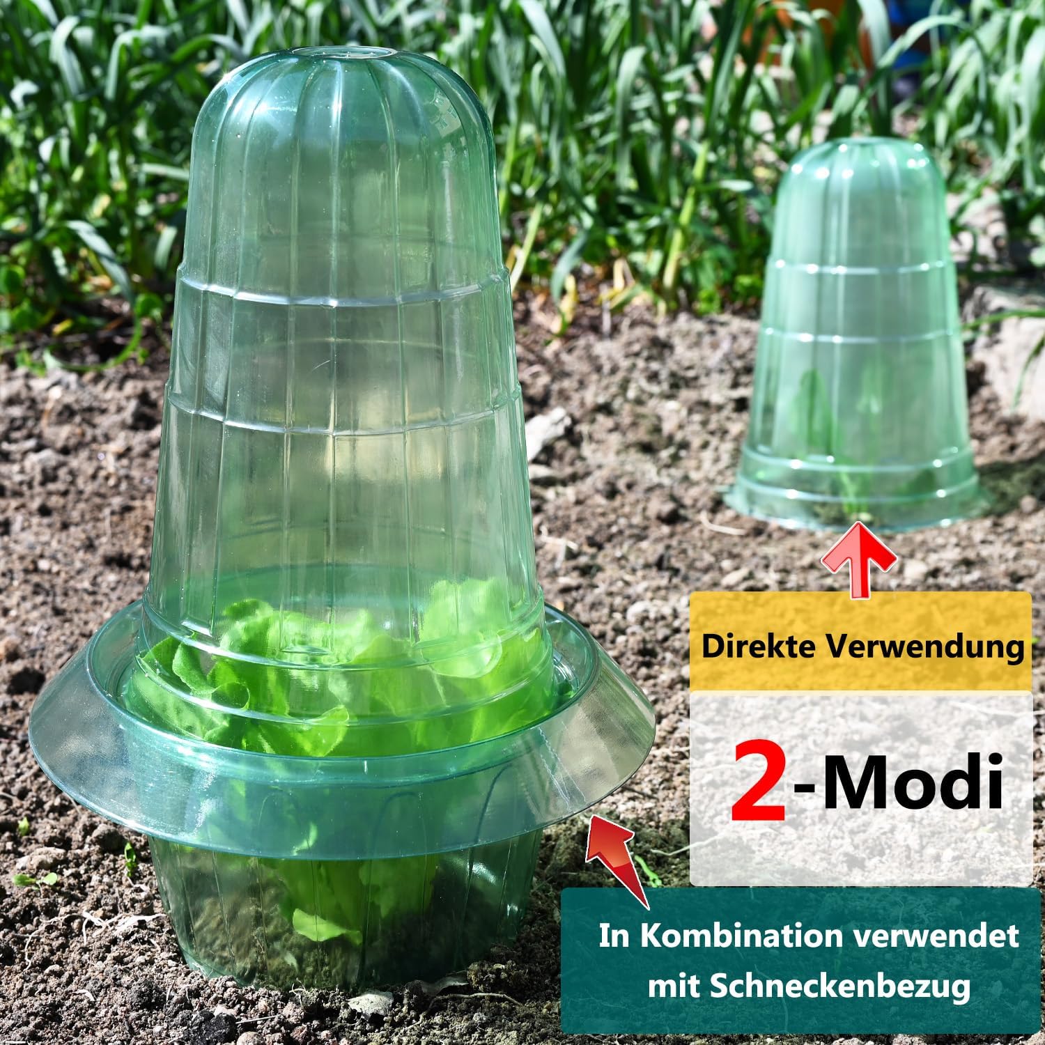 Detalle de Emyimom Pflanzenhut für Salatpflanzen – Pflanzhütchen als Schutz vor Vögeln, Schnecken & Witterung