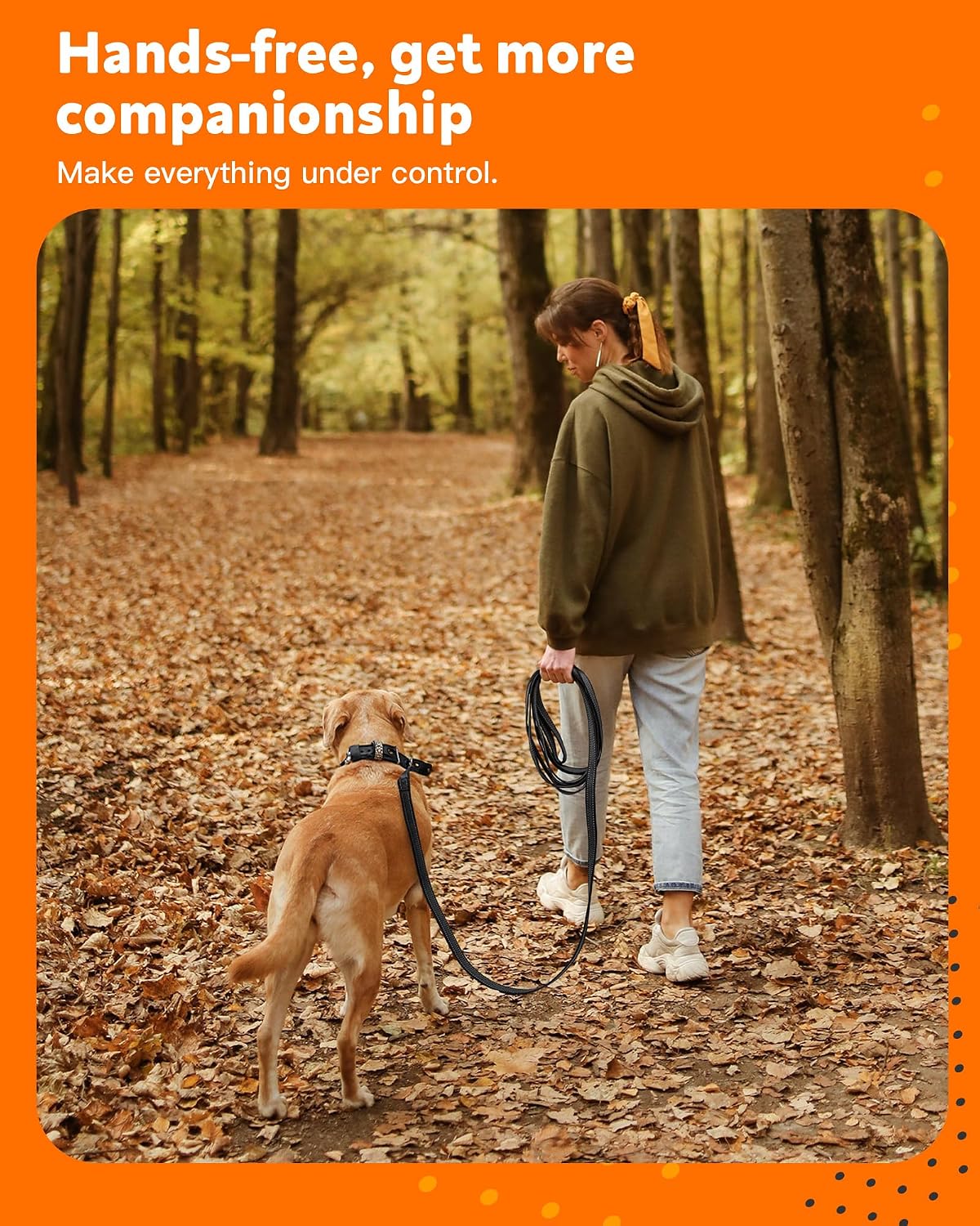 Thumbnail 6 de Toozey Dog training lead 15m 2.5cm longline
