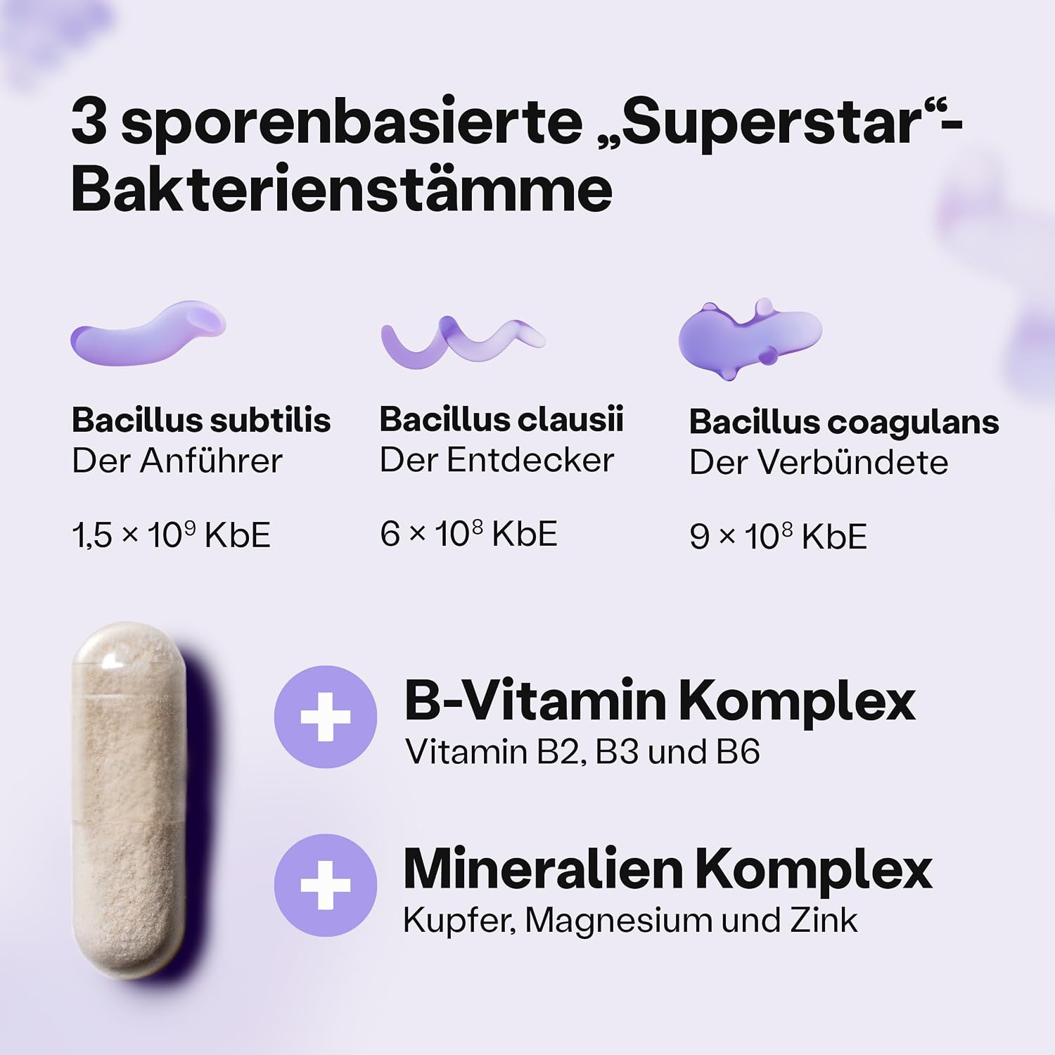 Detalle de fairment SuperMikroben® Plus mit 3 Bakterienstämmen – Sporen-Biotik, B-Vitamine & Mineralien, 60 Kapseln