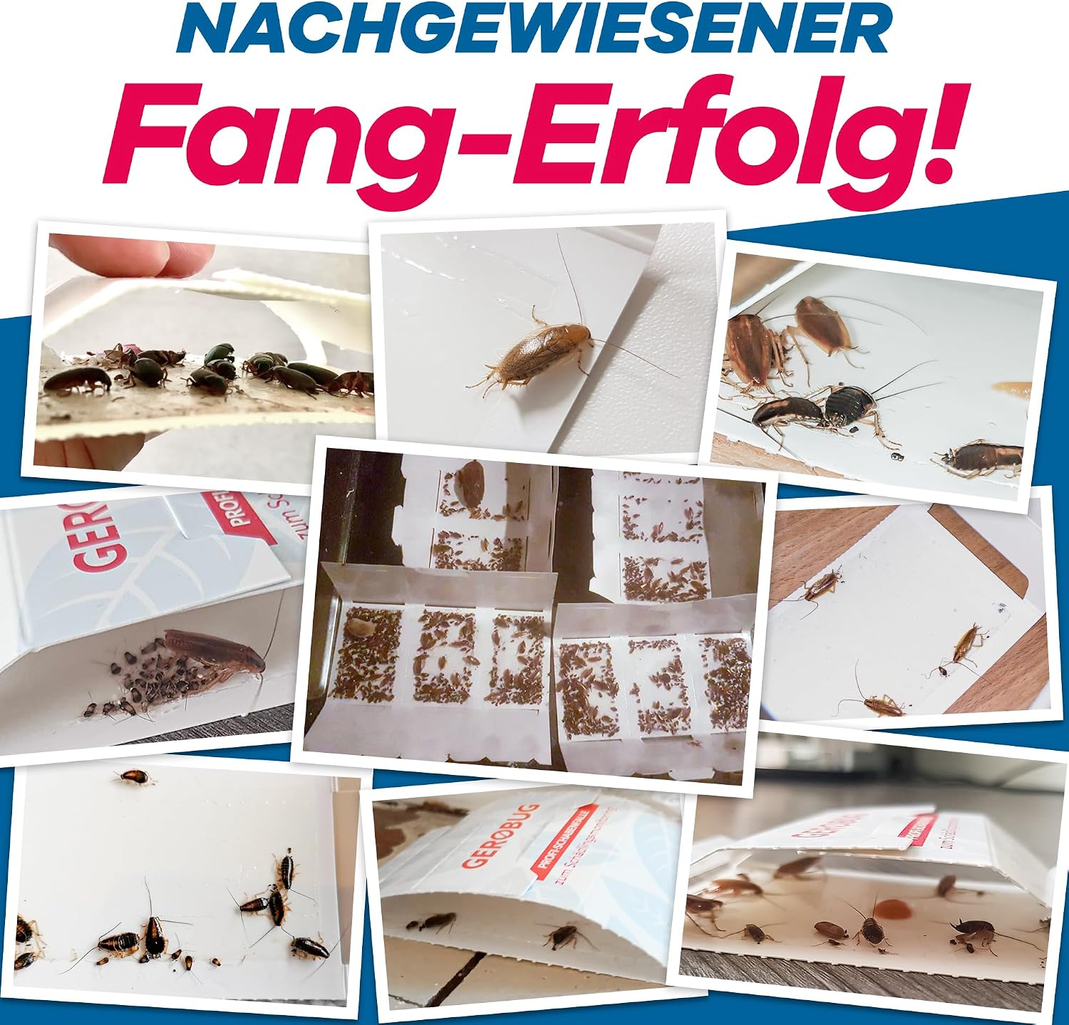 Detalle de Gerobug Schabenfalle, 12 Stück