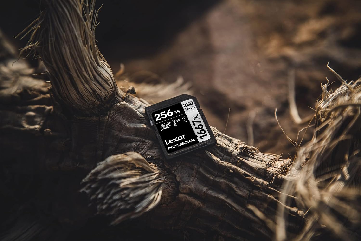 Detalle 1 de Lexar Professional 1667x LSD256CB1667, karta SDXC UHS-II 256 GB, V60