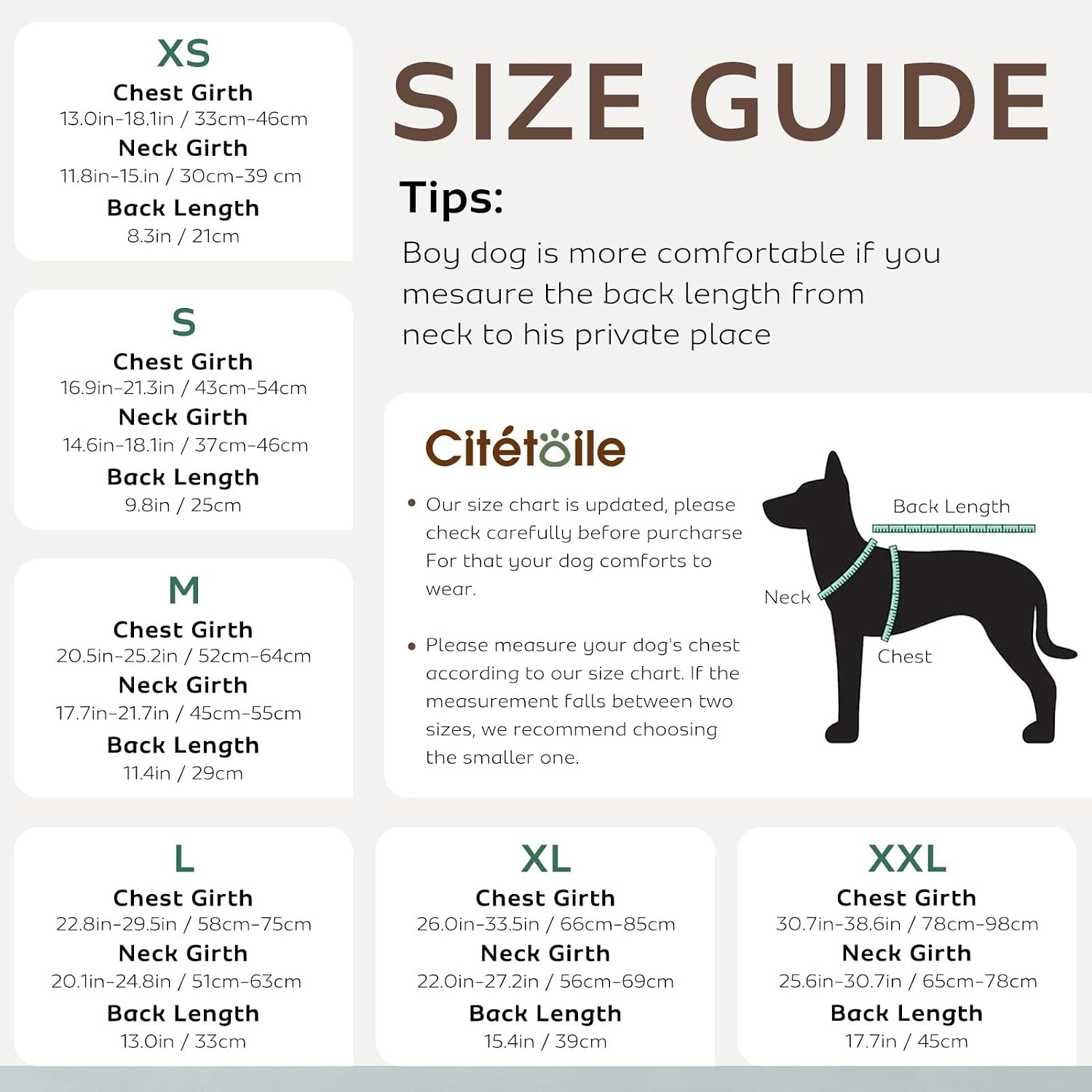 Detalle de CITÉTOILE Dog Life Jacket with Handle & Safety Leash — Buoyancy Aid Vest for Boating, Pool & Lakes