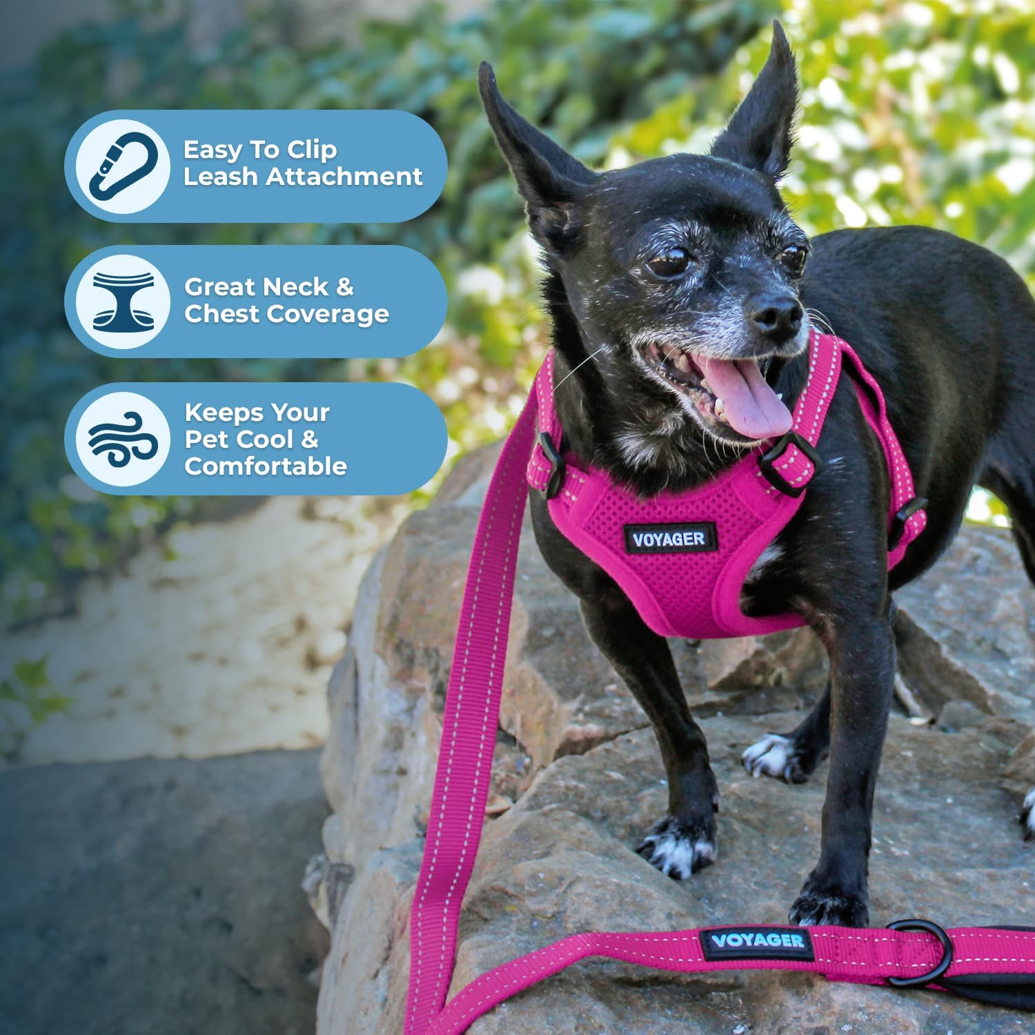 Detalle 2 de Voyager Dog Harness Large
