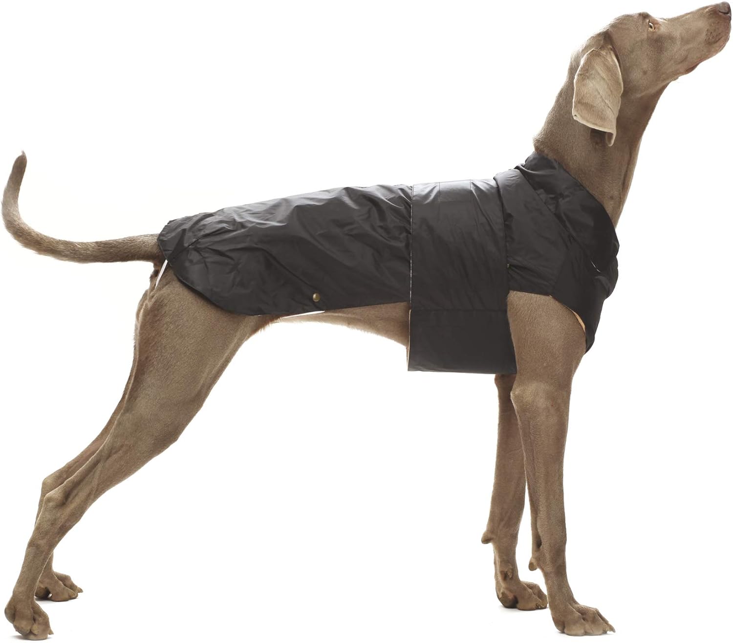 Detalle de Croci Montreal wasserdichter Hundemantel Wintermantel mit Leinenloch, Größe 45 cm, braun