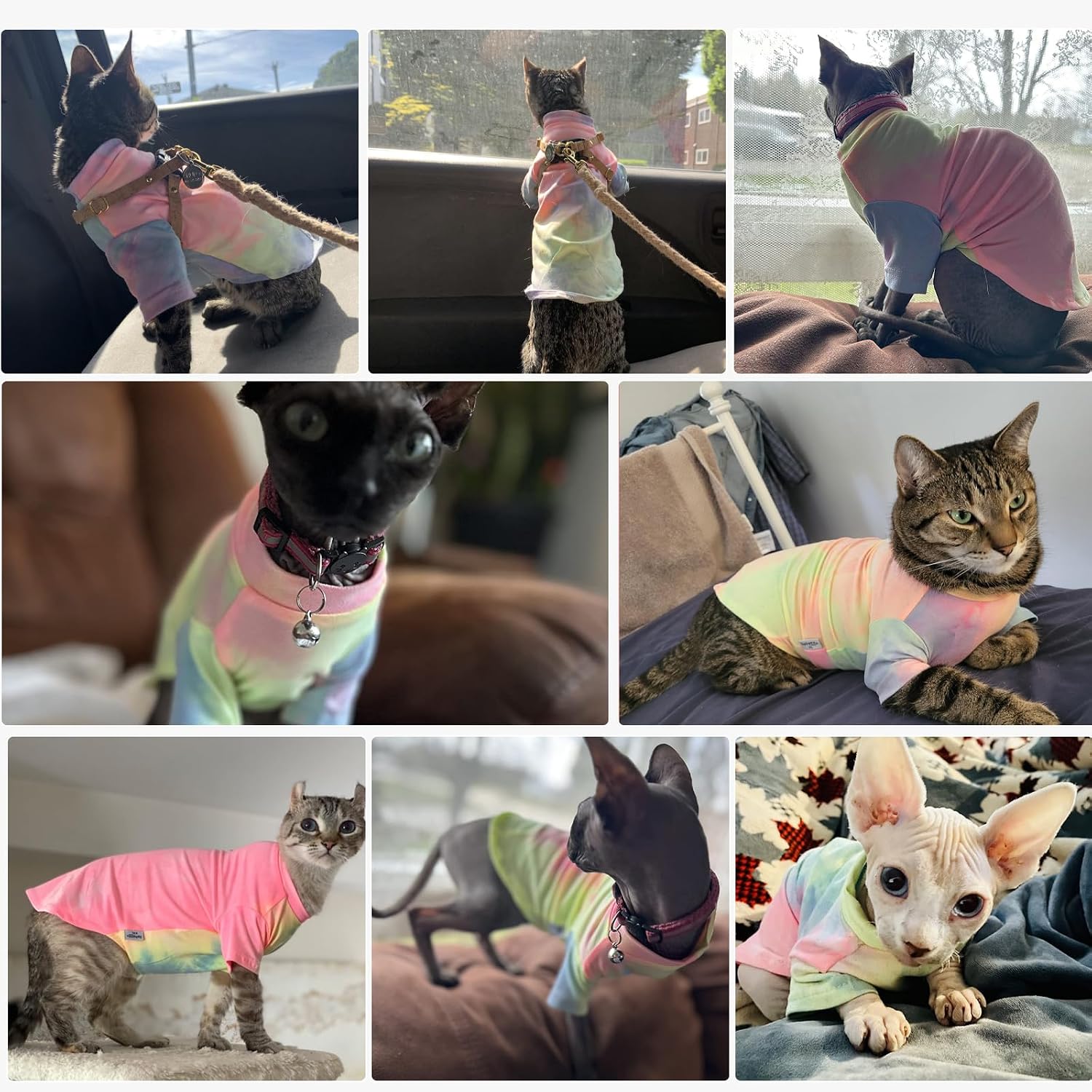 Thumbnail 6 de QBLEEV Cat Shirt, Cotton