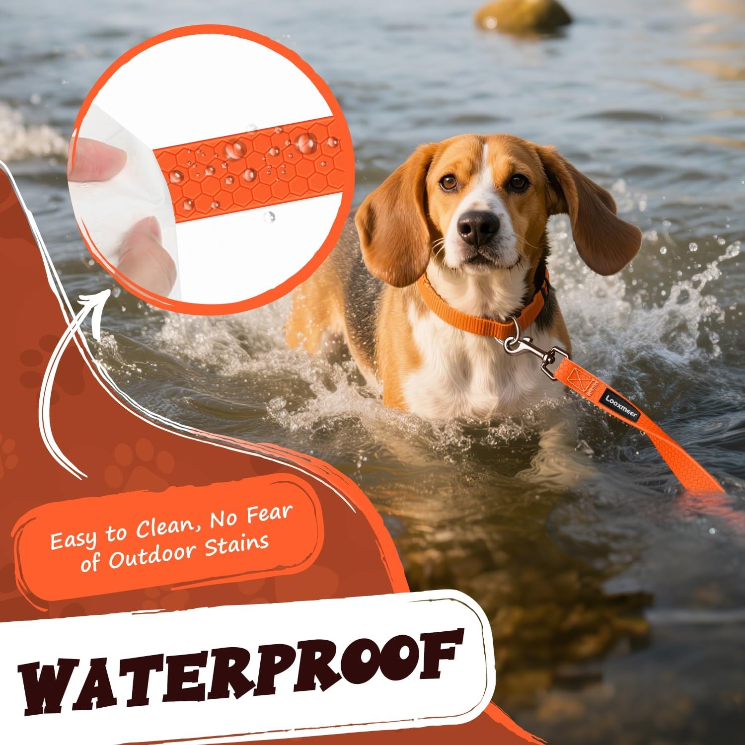 Detalle de Wasserdicht Schleppleine für Hunde (3 bis 30 m) mit drehbarem Karabiner – Polyester mit PVC-Beschichtung