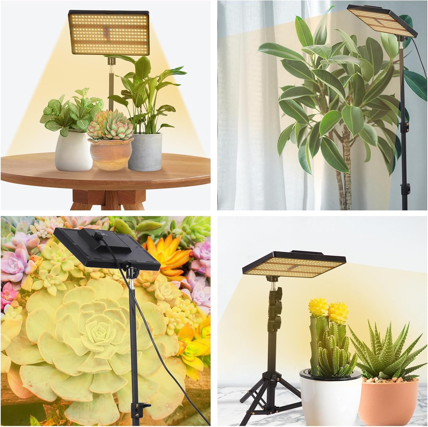 Thumbnail 6 de MICCYE Pflanzenlampe LED Vollspektrum mit 286 LEDs 🌱