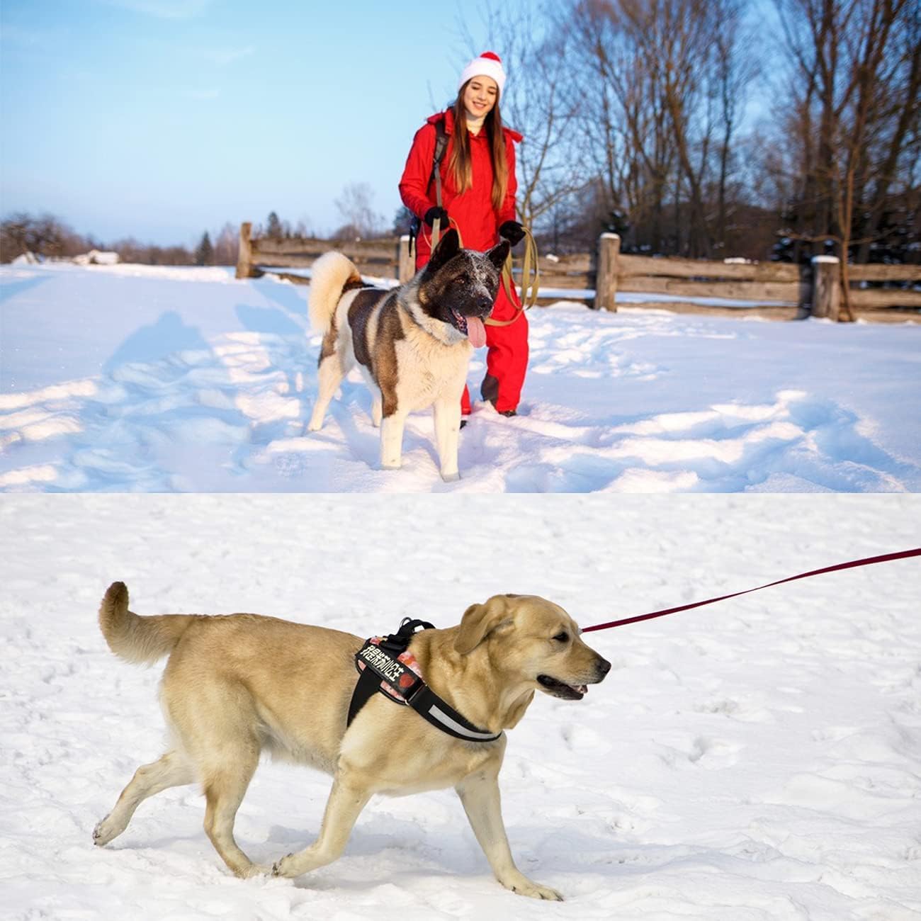 Thumbnail 6 de Mainiusi 30m Dog Lead for Recall Training