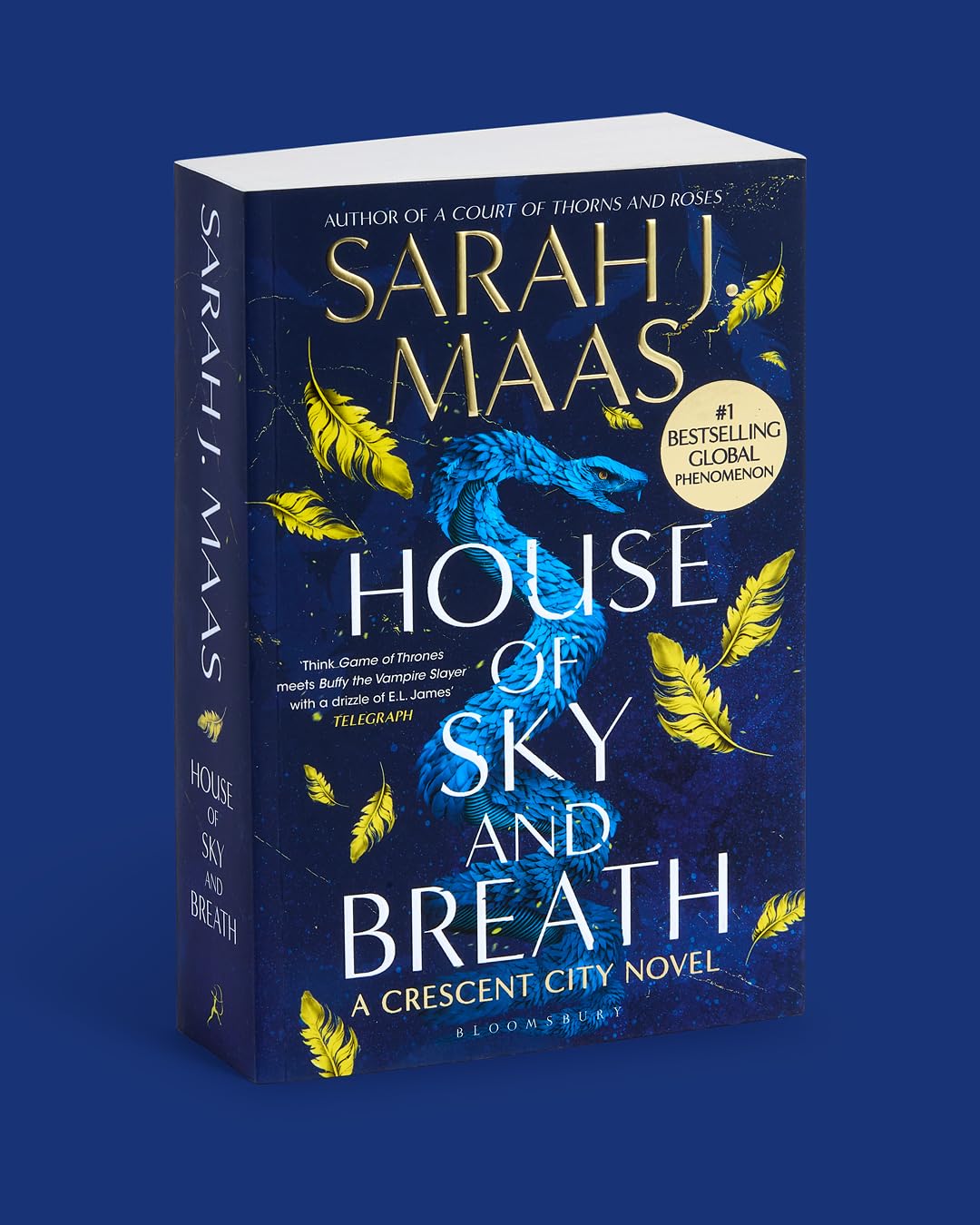 Thumbnail 2 de House of Sky and Breath paperback — fantasy novel 📚