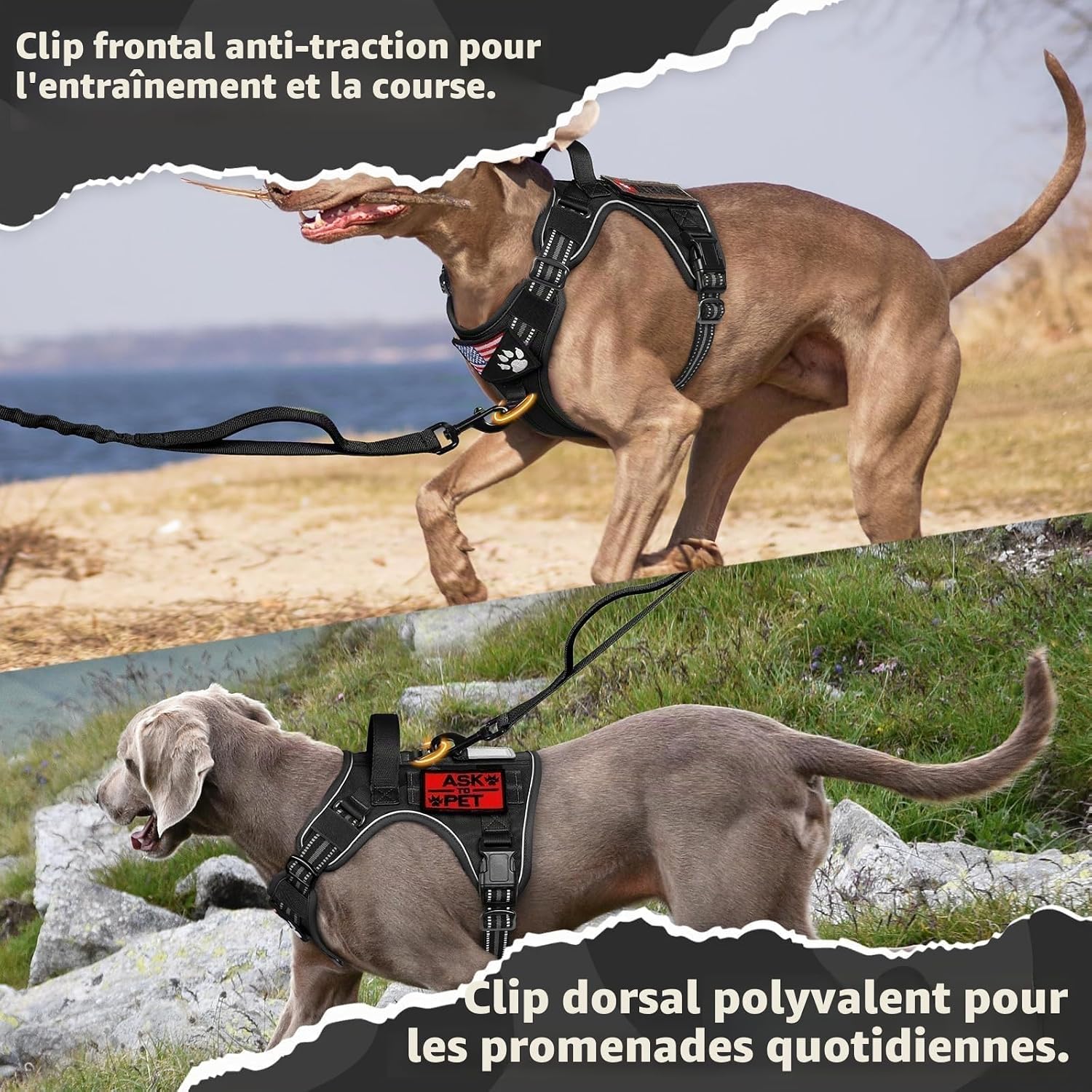 Thumbnail 5 de rabbitgoo Harnais Chien Anti Traction L 56-94 cm