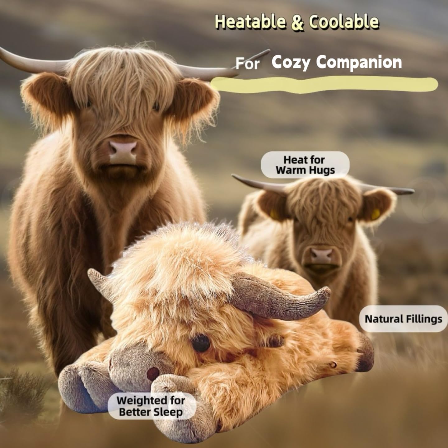 Thumbnail 3 de uoozii 20" Highland Cow Weighted Plush with Unscented Heating Pad
