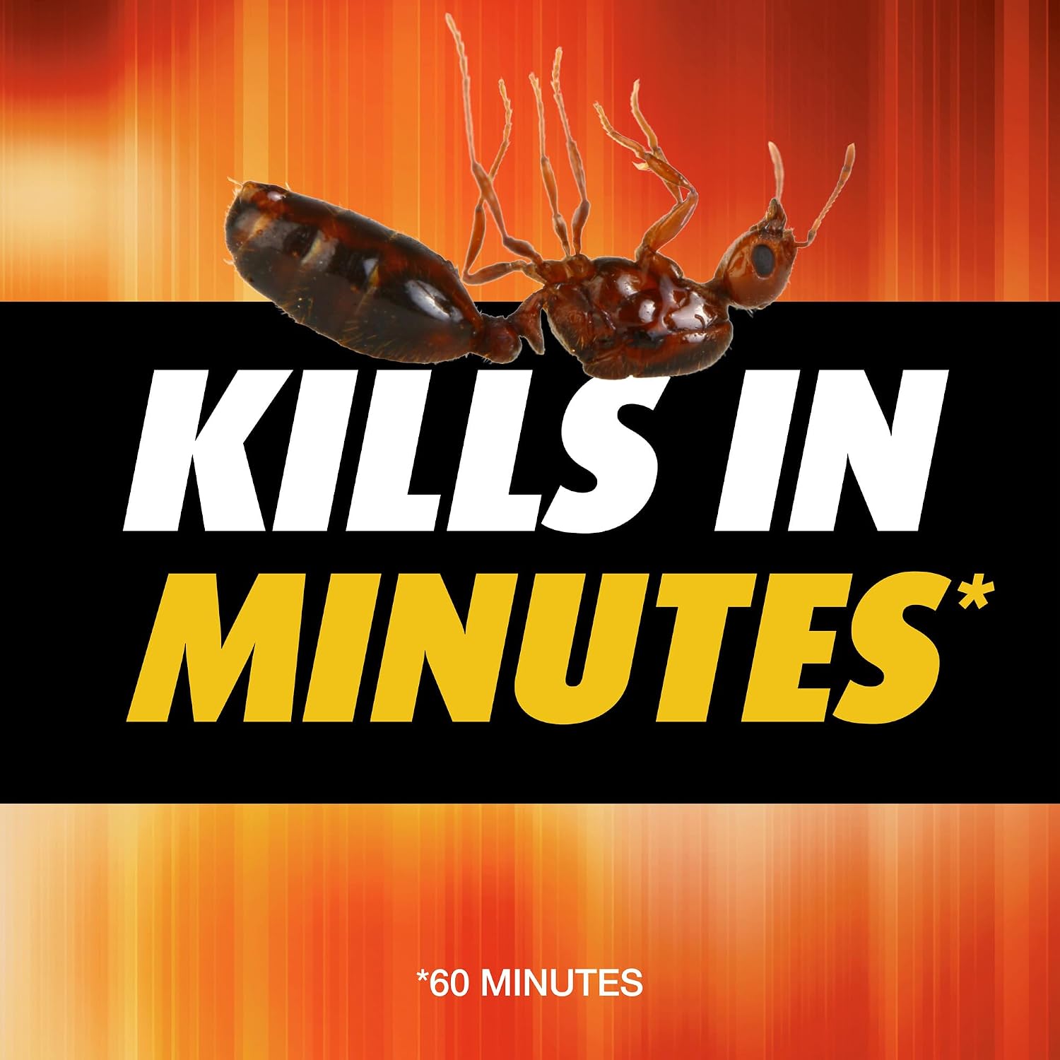 Thumbnail 3 de Ortho Fire Ant Killer 14 oz