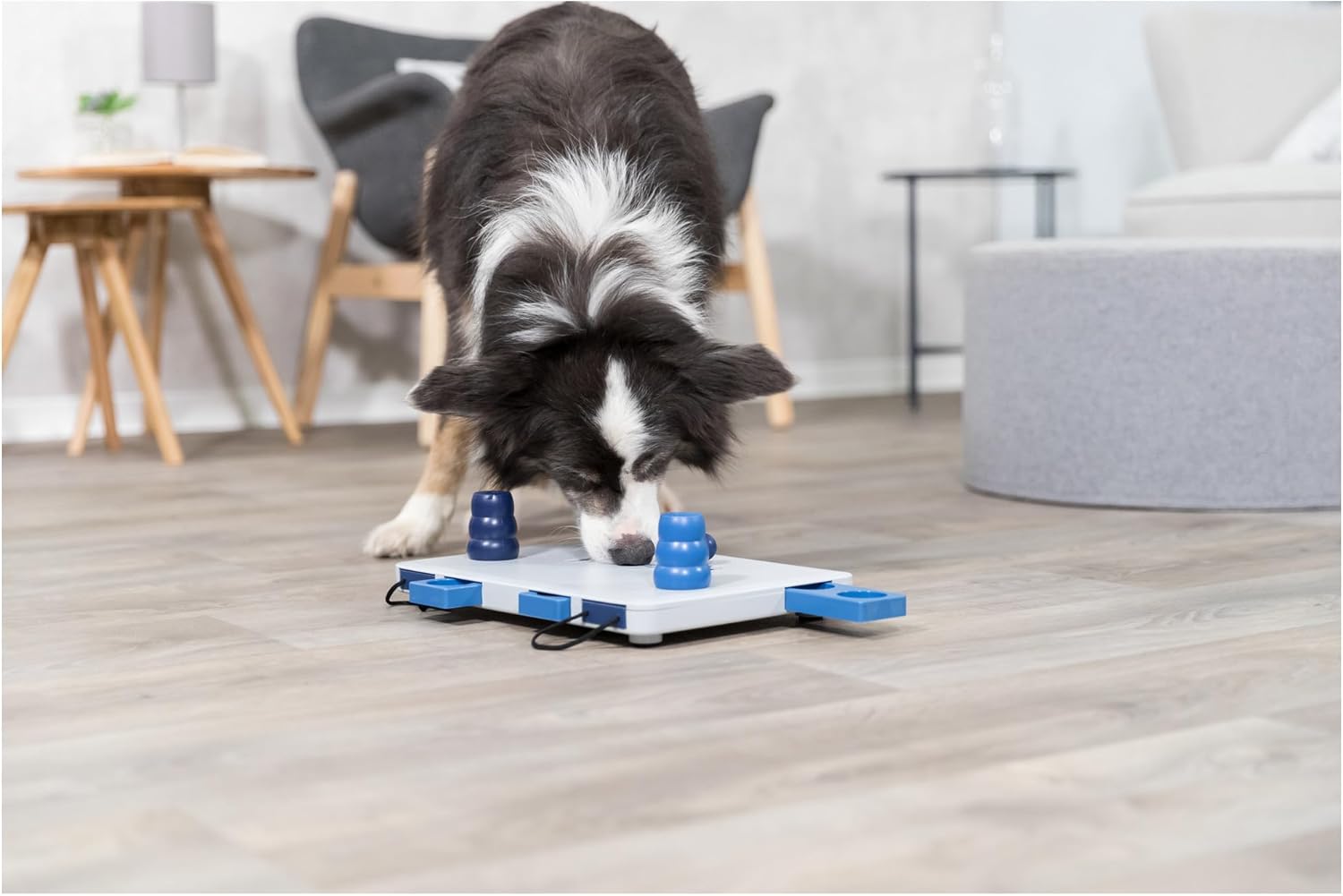 Detalle de TRIXIE Move2Win Strategy Game – Intelligence Toy for Dogs (34 × 23 cm)
