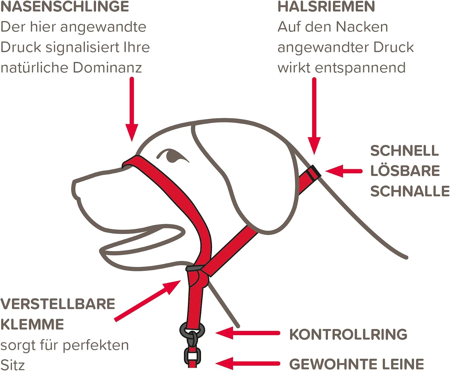 Detalle 2 de BEAPHAR Gentle Leader Hundehalfter S schwarz