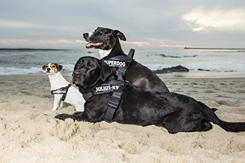 Detalle 1 de Julius-K9 Arnés para perro M, negro-gris 🐕
