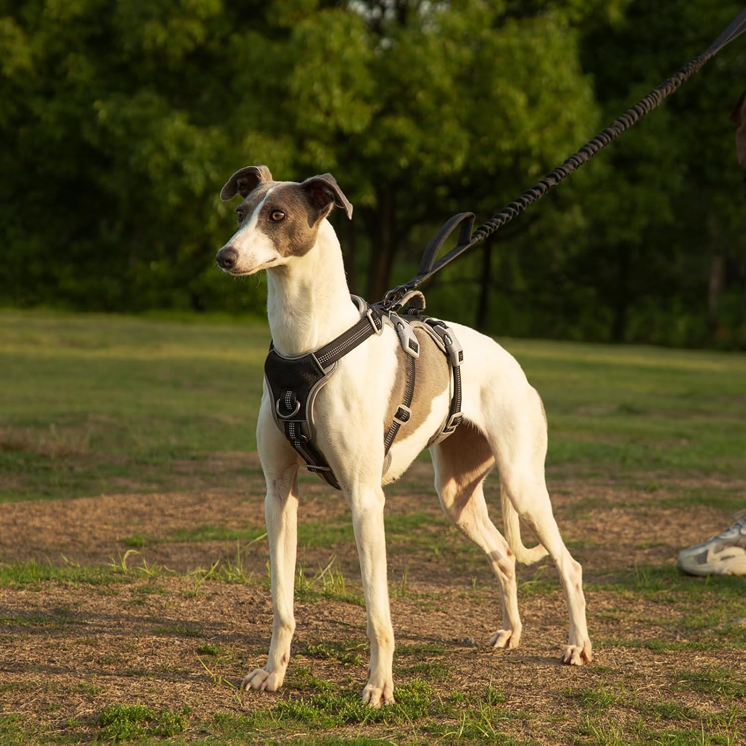 Thumbnail 6 de Huntboo Escape Proof Dog Harness Medium