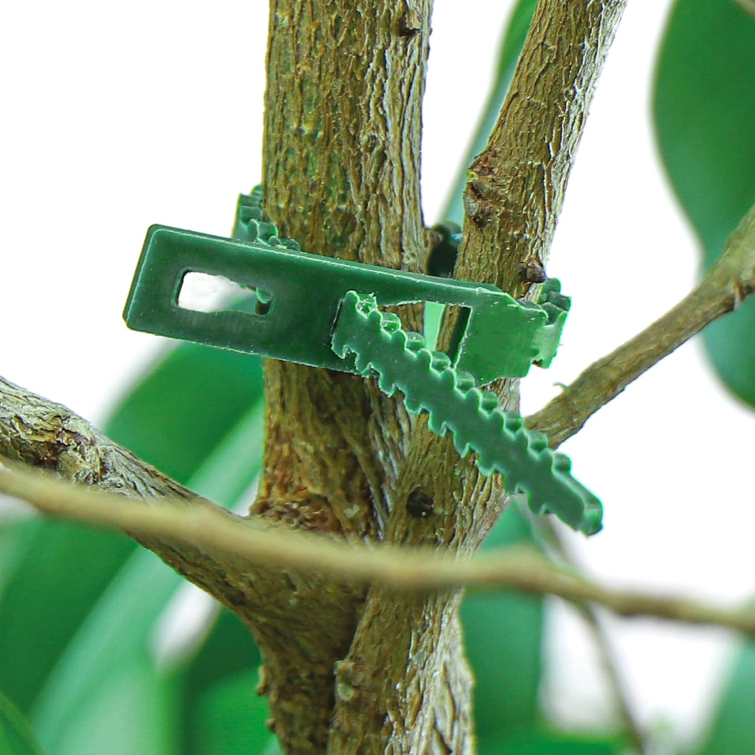 Detalle de COM-FOUR® 200x Lega piante in plastica verde - clip regolabili da 14 cm, legatura versatile e riutilizzabile