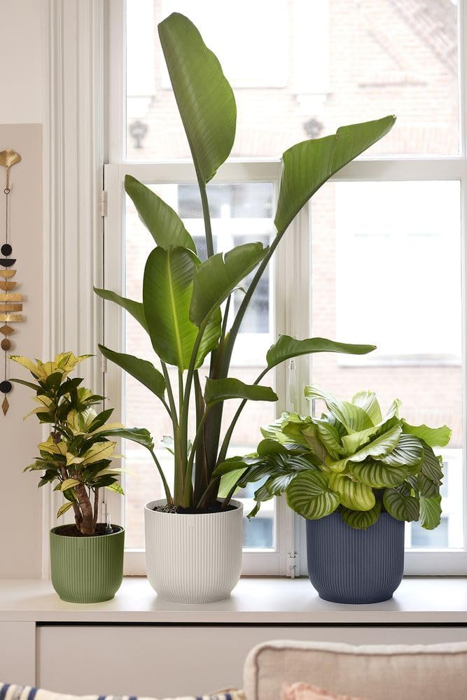 Thumbnail 6 de elho Vibes Fold Round 22cm Flower Pot – Anthracite: Durable, Recycled Plastic Planter for Indoor Use