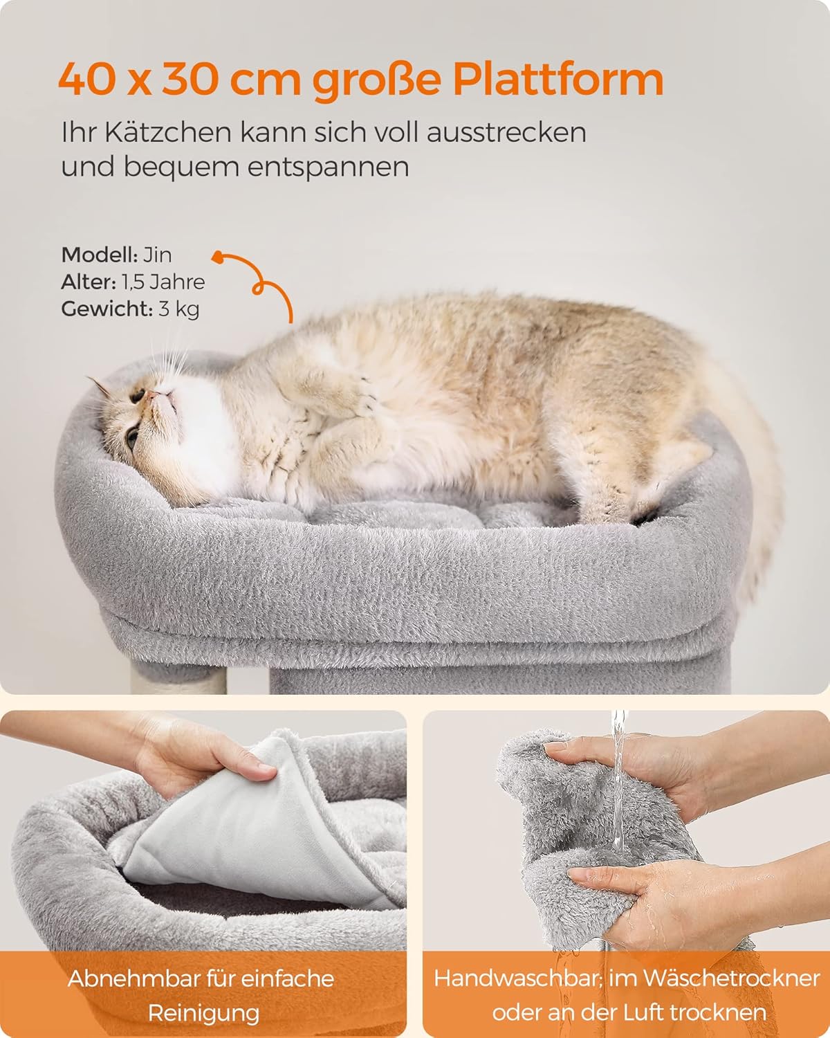 Detalle de Feandrea PCT611W01 67 cm Kratzbaum 🐱