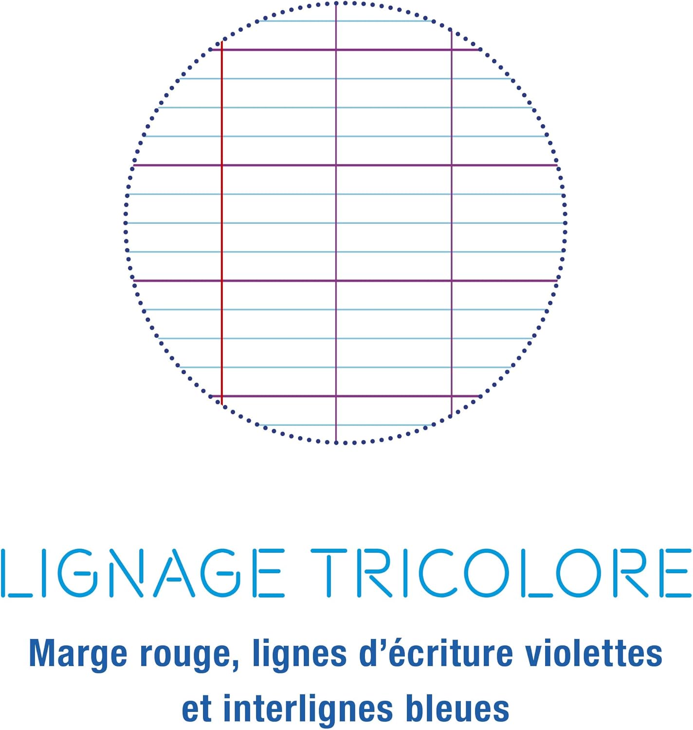 Thumbnail 1 de Clairefontaine 984420AMZC – Lot de 2 Cahiers Agrafés Koverbook 24x32 cm, 48 Pages, 90 g, Couverture Polypro, Incolore