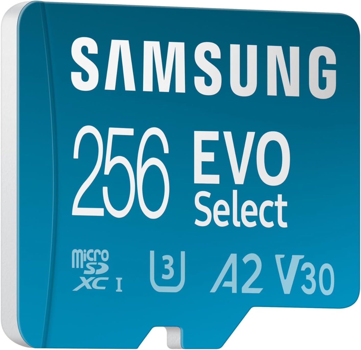 Detalle de Samsung Memorie EVO Select microSD da 256GB (UHS-I U3) fino a 160 MB/s