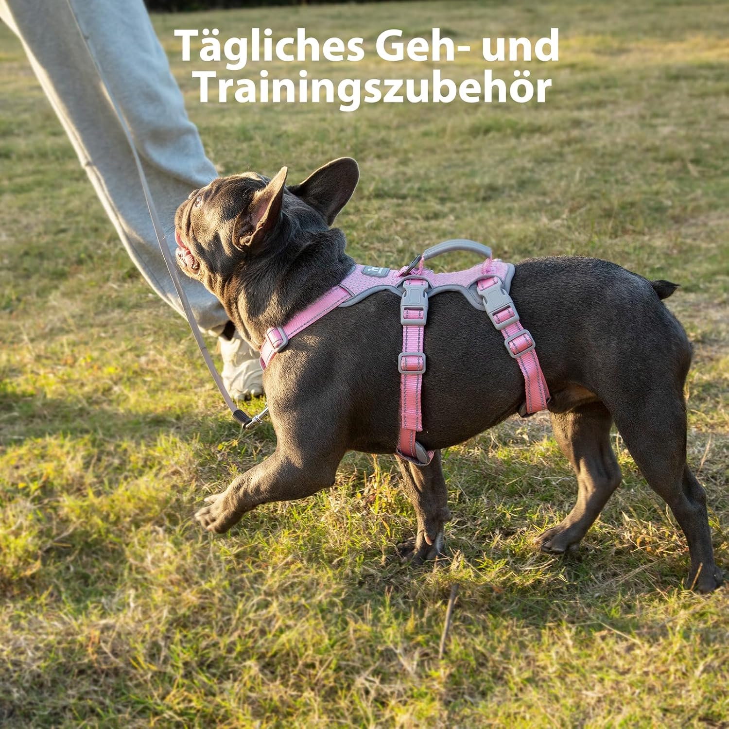 Thumbnail 6 de Huntboo Hunde-Sicherheitsgeschirr (rosa, S) – ausbruchsicheres reflektierendes Brust-/Weste-Geschirr mit gepolstertem Griff