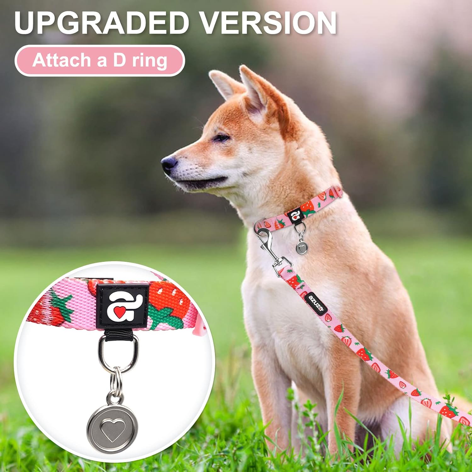 Detalle de azuza Dog Collar and Leash Set, Nylon