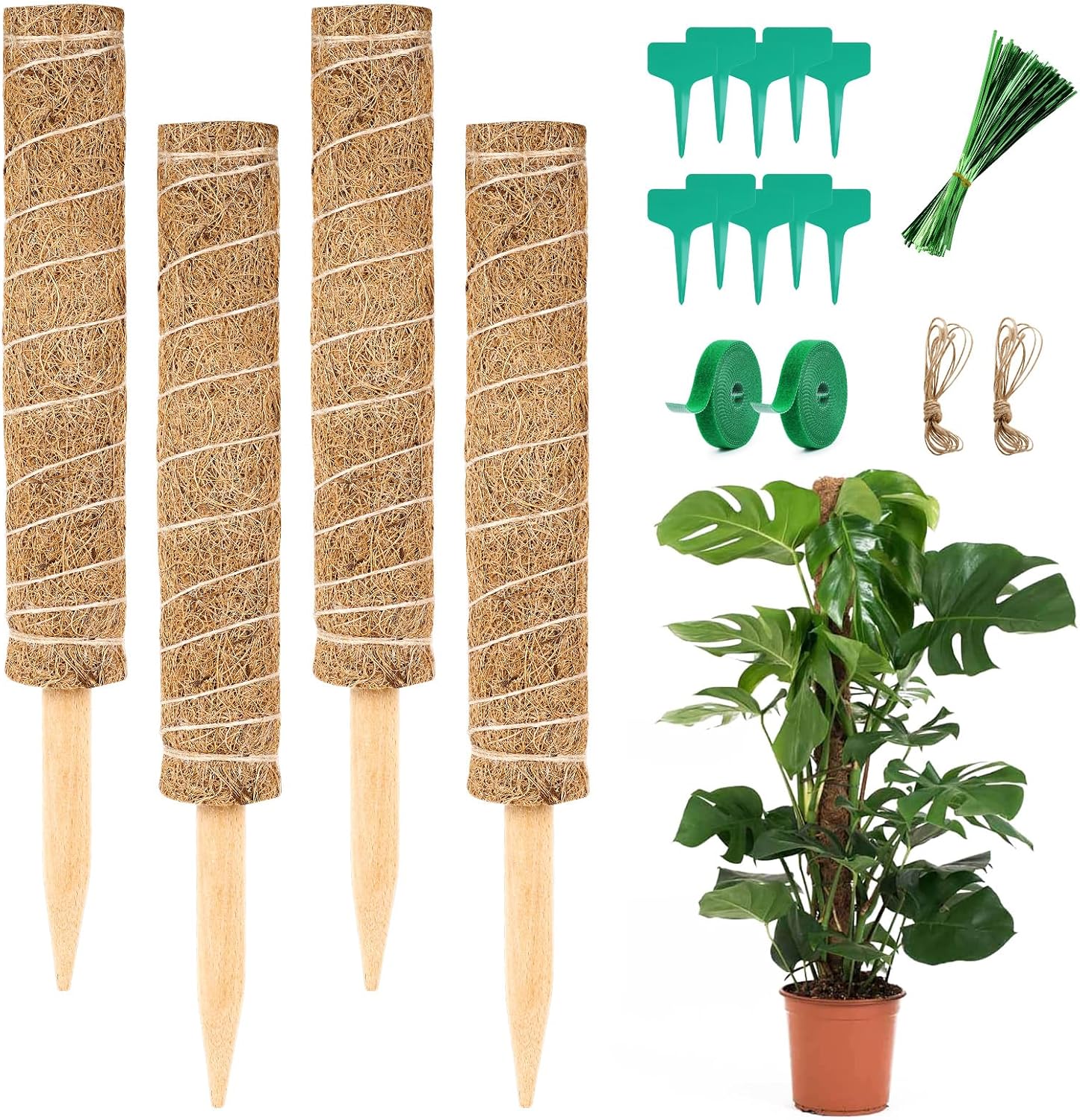 Detalle de Vicloon 4pcs 40cm plantensteunen van natuurlijke kokosvezel, set van 4