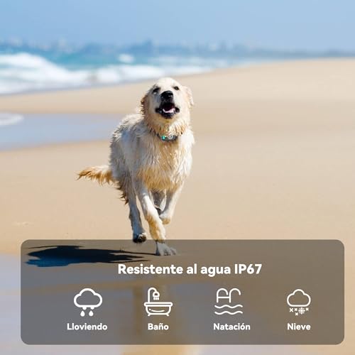Thumbnail 7 de Meloive Collar Antiladridos para Perro — Collar Vibración Recargable, 8 Niveles y 4 Modos