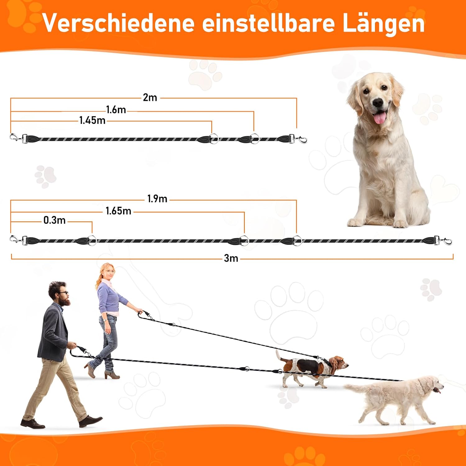 Detalle de Aystkniet 3M Verstellbare Hundeleine für Große und Mittlere Hunde – 2 m/3 m, Reflektierend, 12 mm Nylon, 250 kg Belastung